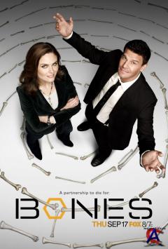  / Bones (1 )
