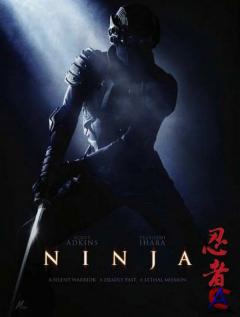  / Ninja