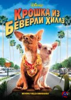   - / Beverly Hills Chihuahua