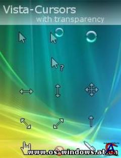   Windows XP