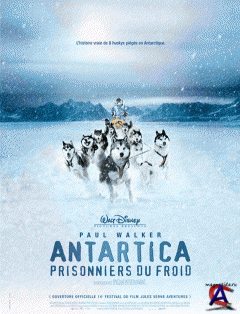   / Eight Below ( : Antarctica)