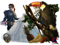  .  / Hidden Expedition: Amazon