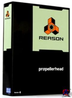 Reason 4