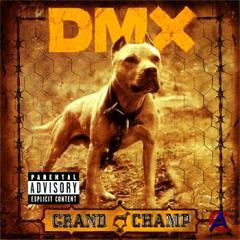 DMX - Grand Champion