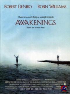  / Awakenings