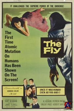  / The Fly