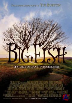   / Big Fish