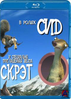   / :    / Surviving Sid