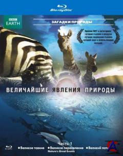 BBC:    /    / Natures Great Events (1 )