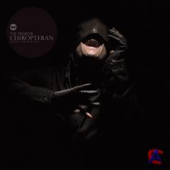 The Panacea - Chiropteran