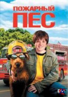   / Firehouse Dog