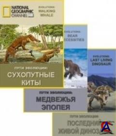 NG -   / National Geographic - Evolutions