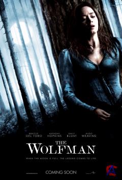- / The Wolfman