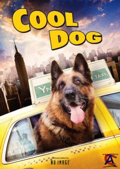   / Cool Dog