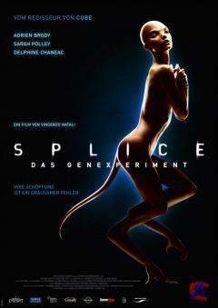  / Splice