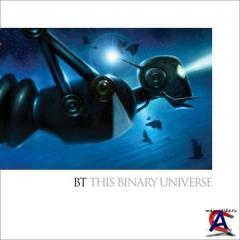 BT - This Binary Universe