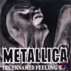 Metallica - The Unnamed Feeling