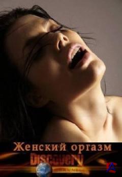 Discovery -   / Discovery - Gerl Orgamz