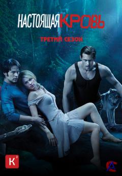   / True Blood (3 )