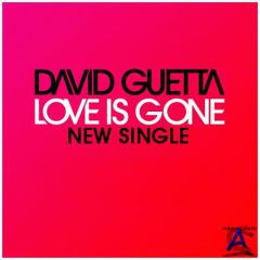David Guetta - Love Is Gone