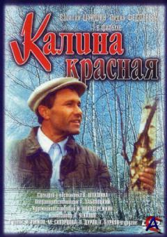   / Kalina krasnaya