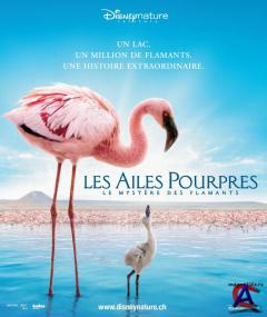  :   / Crimson Wing: Mystery of the Flamingos, The