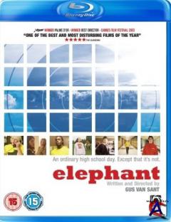  / Elephant