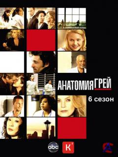   / Greys Anatomy (6 )
