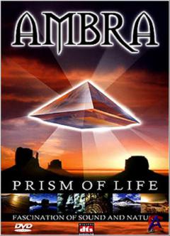 :   (v.3) / Ambra: Prism of Life
