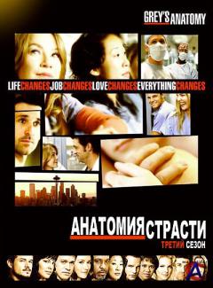   / Greys Anatomy (3 )