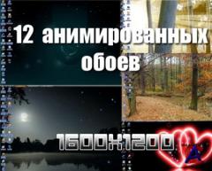 12     