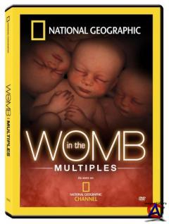 NG -   / NG - In the womb