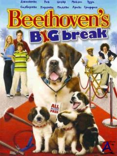 :   / Beethovens Big Break