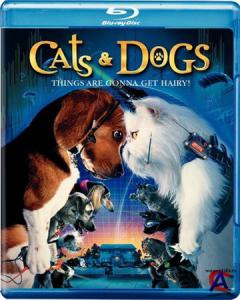    / Cats & Dogs