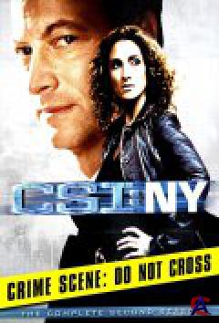 CSI:   - / CSI: NY (5 )