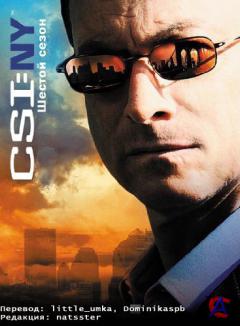 CSI:   - / CSI: NY (6 )