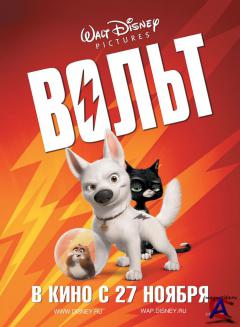  / Bolt