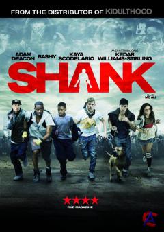  / Shank