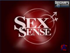 Discovery -   / Sex Sense