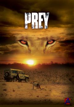  / Prey