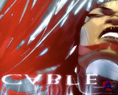  / Cable