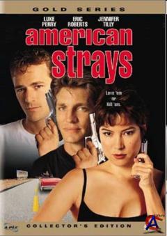   / American Strays