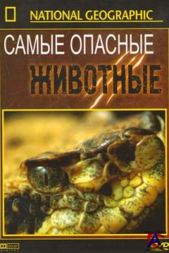 NG -   :     / Worlds Deadliest Animals: Deserts to Grassland