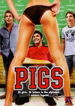    / Pigs