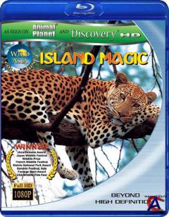 ANIMAL -  :   / Wild Asia: Island Magic