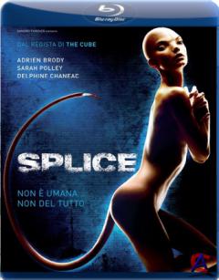  / Splice