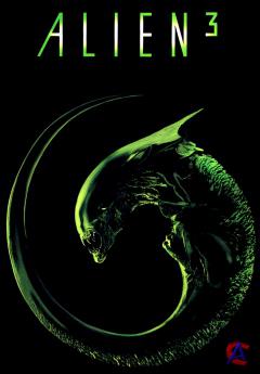  3 / Alien