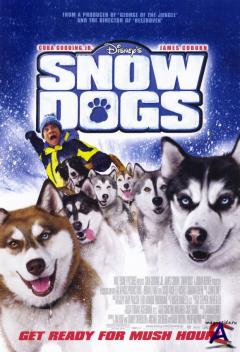   / Snow Dogs