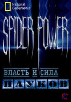 NG -     / Spider Power