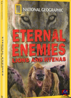 NG -  :    / Eternal Enemies: Lions and Hyenas